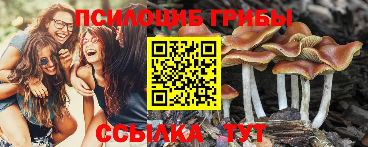 Коммунар  Галлюциногенные грибы Cubensis  Галлюциногенные грибы GOLDEN TEACHER  Вход с VPN 